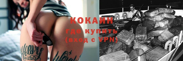 твердый Богданович