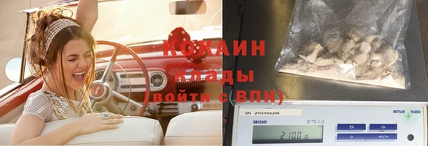 прущая мука Бородино