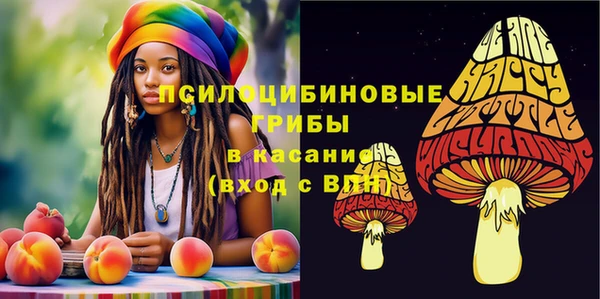 твердый Богданович