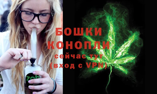 твердый Богданович