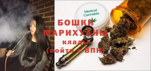 стаф Богородск