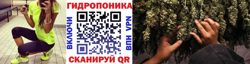 Канабис Bruce Banner  Махачкала 